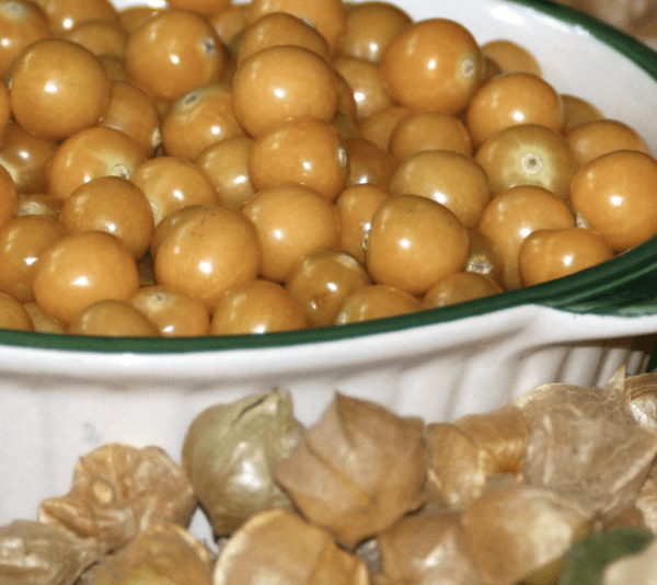Husk Tomato - Goldie Ground Cherry